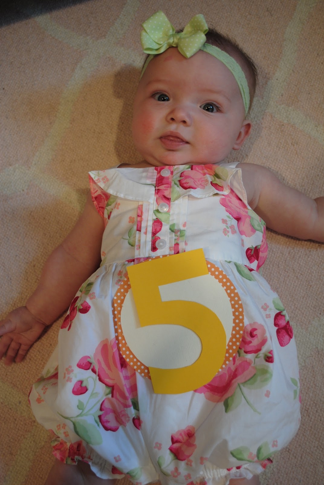 5 months baby girl