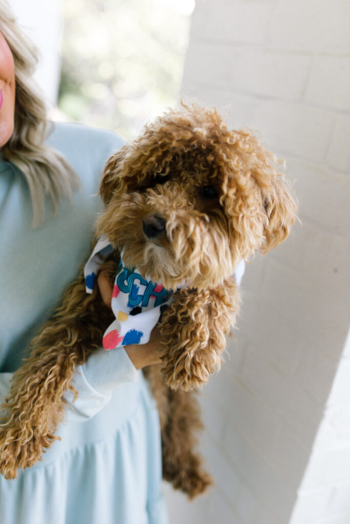 Clairebella Studio by popular Nashville life and style blog, Hello Happiness: image of Natasha Stoneking holding her dog that is wearing a Clairebella Studio and Hello Happiness dog bandana. 
