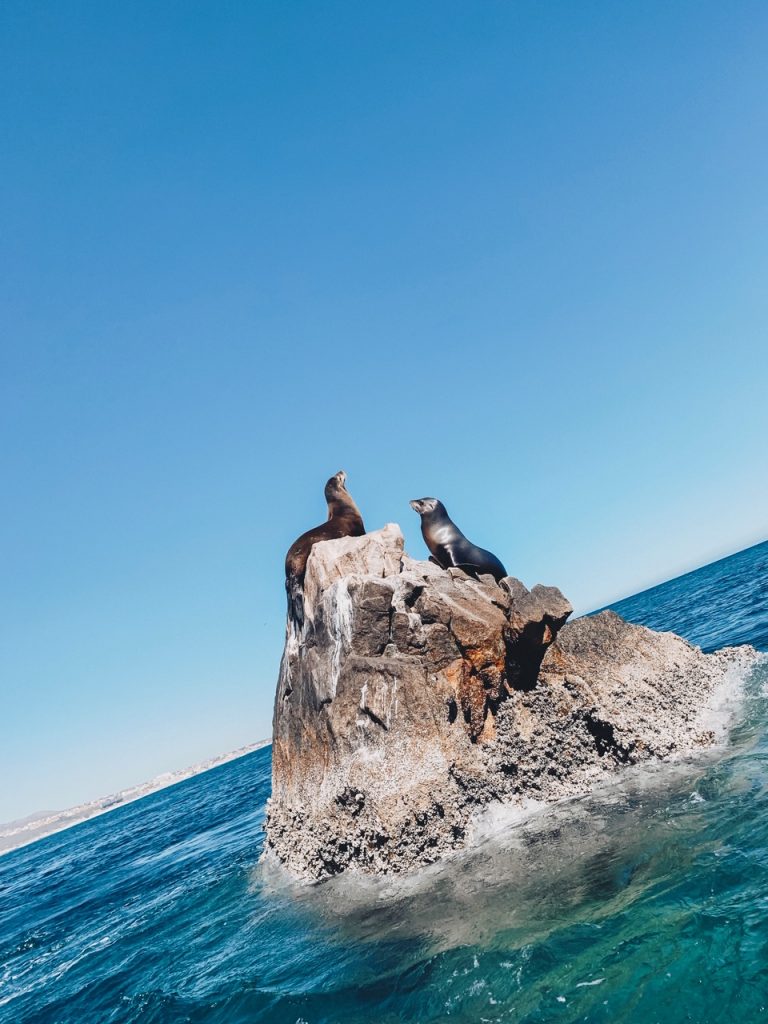 Things to Do in Cabo San Lucas featured by top US travel blog Hello! Happiness