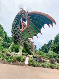 Family Fun in Atlanta... The Perfect Summer Getaway! Hello! Happiness