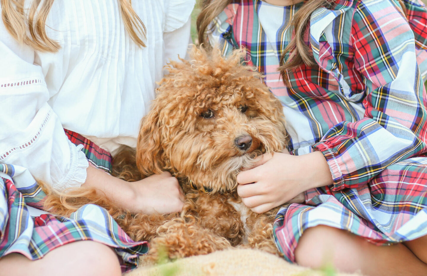 All About Me by popular Nashville lifestyle blog, Hello Happiness: image of two young girls holding a golden doodle dog. 